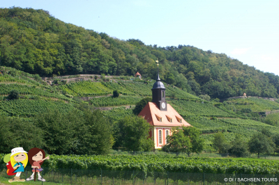 Klassik im Pillnitzer Weinberg