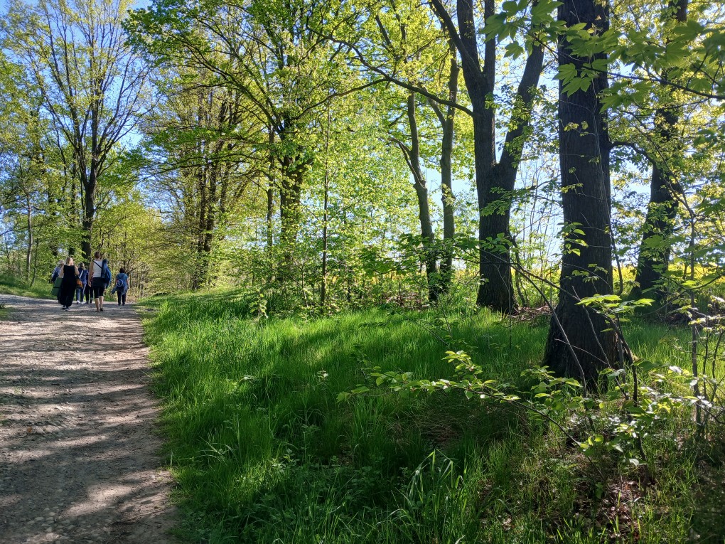 Wandern in Stolpen