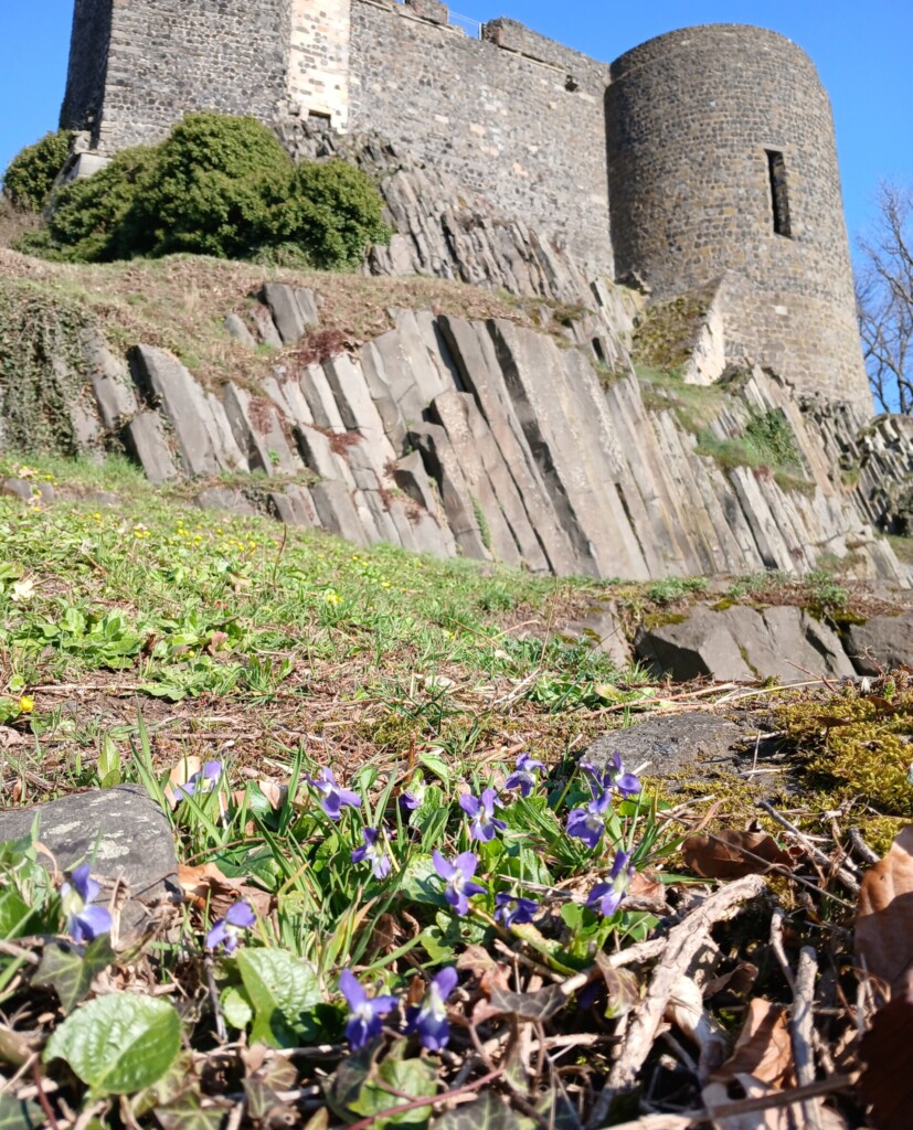 Frühling an der Burg Stolpen