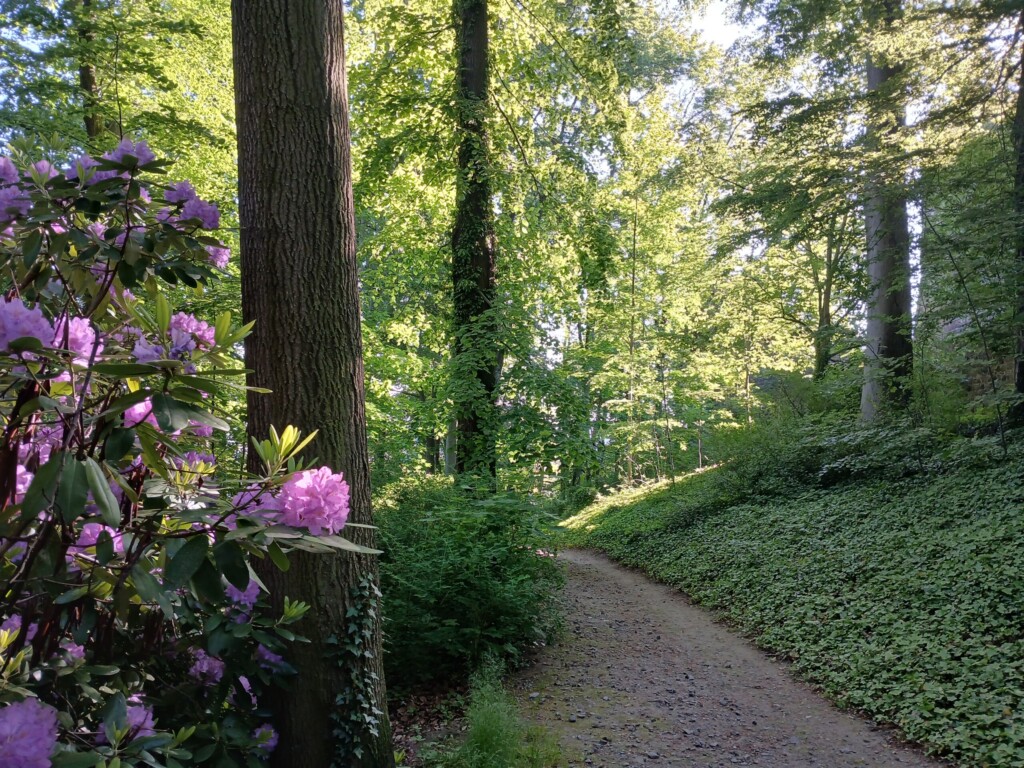 Park an der Burg Stolpen