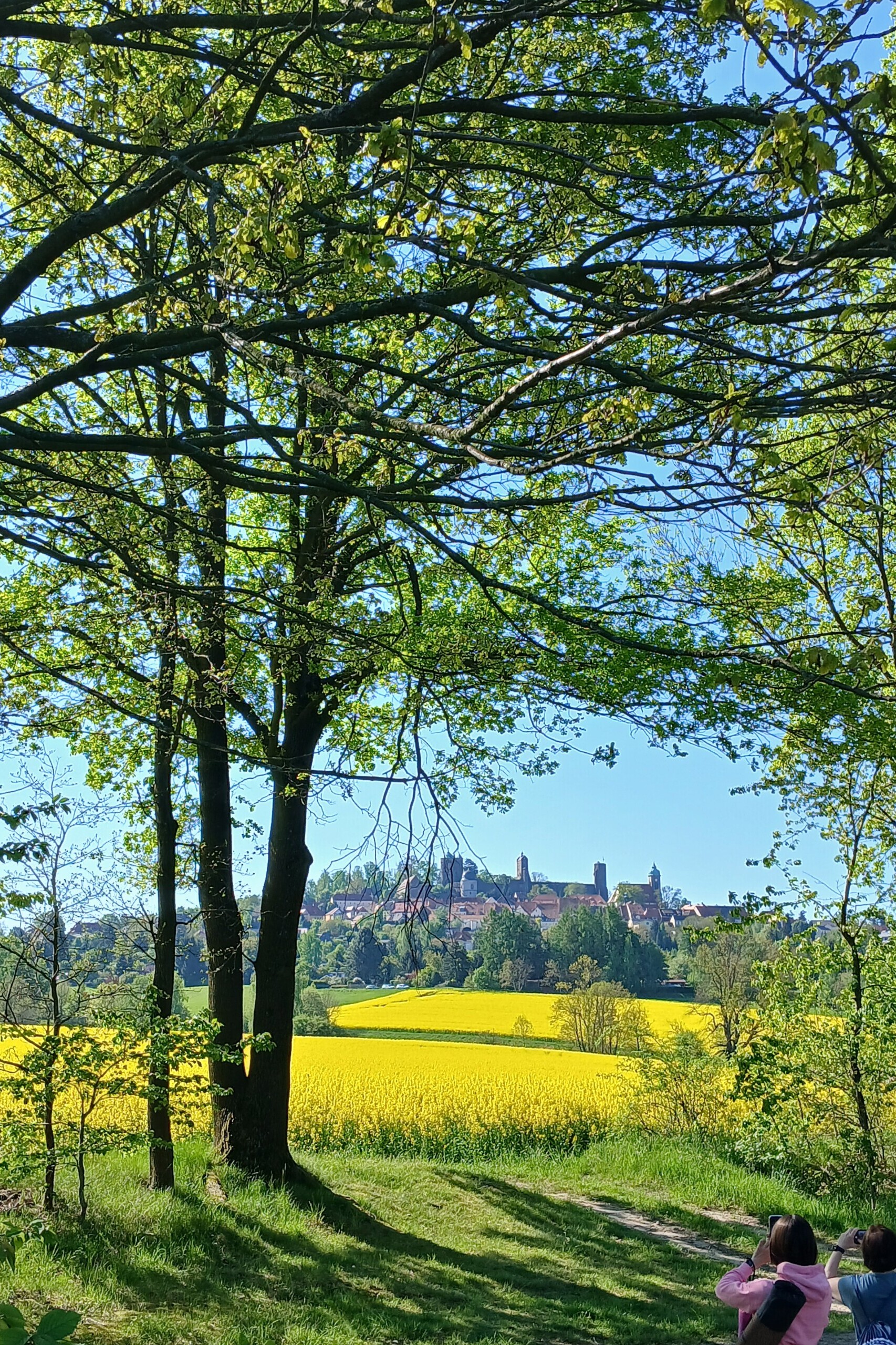Stolpen gute Aussicht